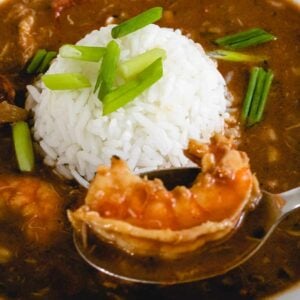 Bowl of gumbo with a scoop of rice. Shrimp up close in a spoon.