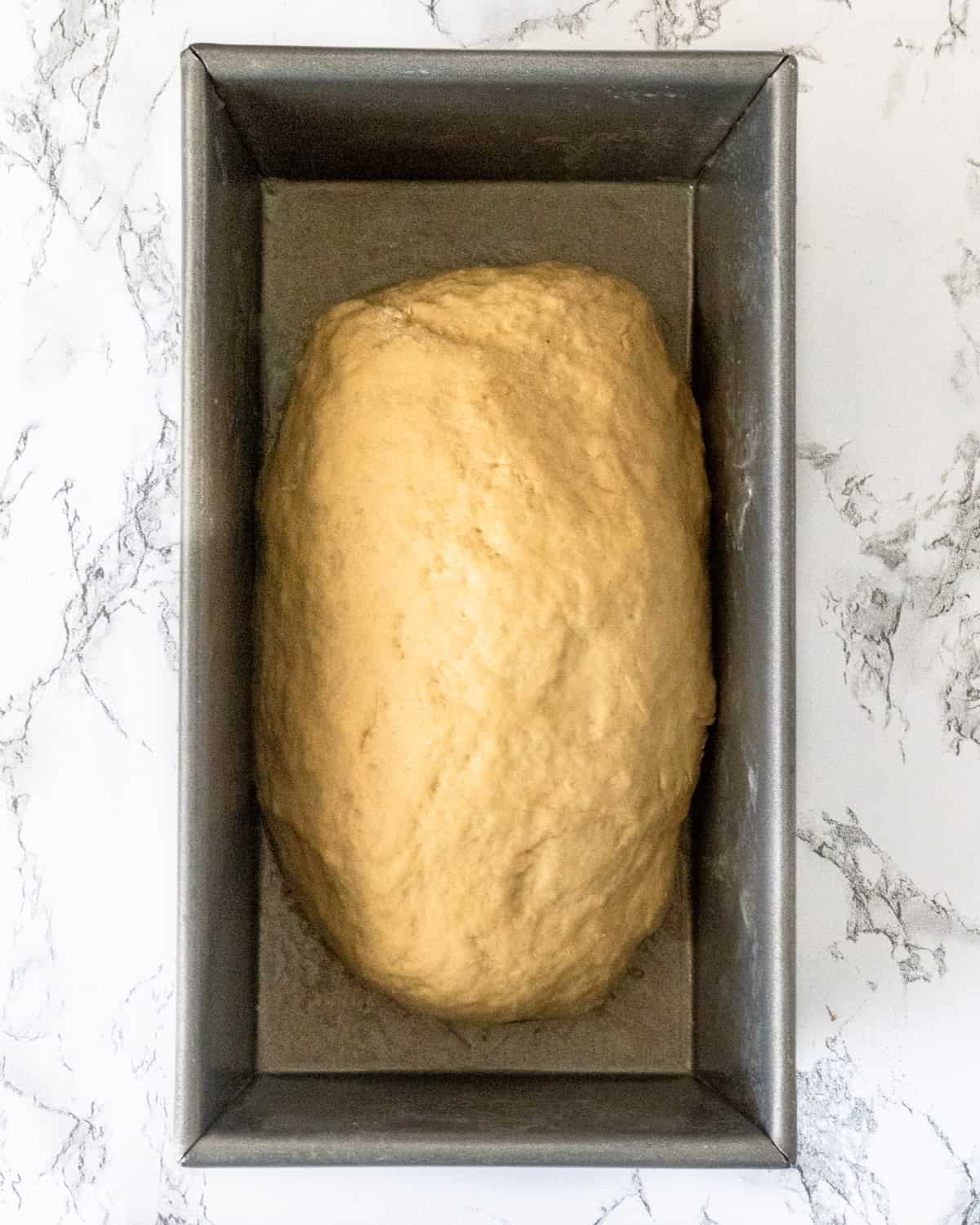 A loaf of honey wheat bread dough in a pan. 