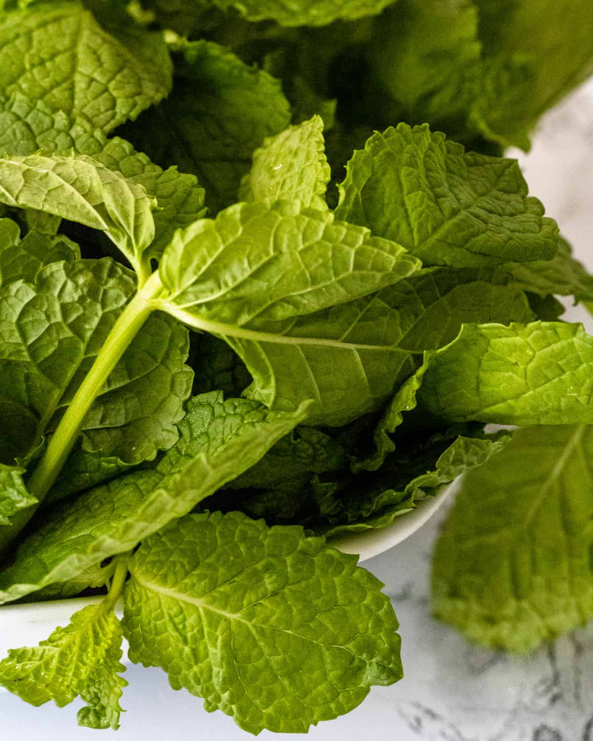 Close up of mint leaves.