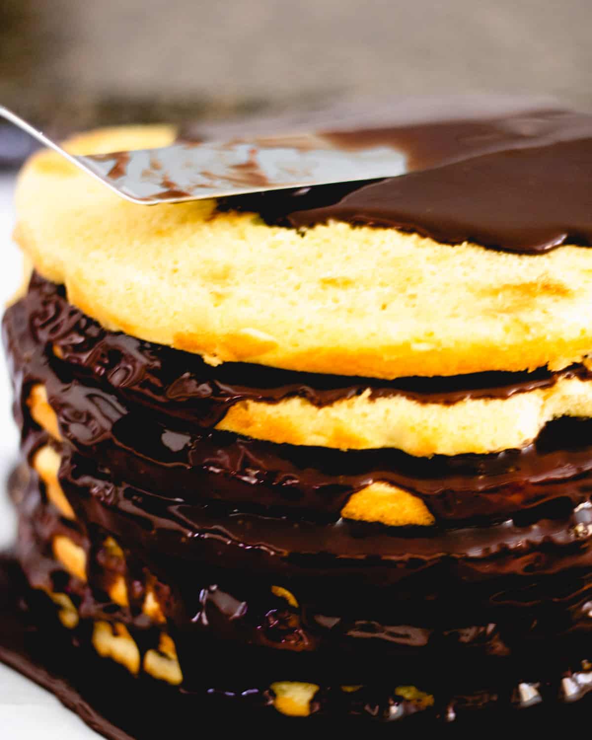 8 layers of thin yellow cake with fudge in between each layer. Spreading on the top layer.