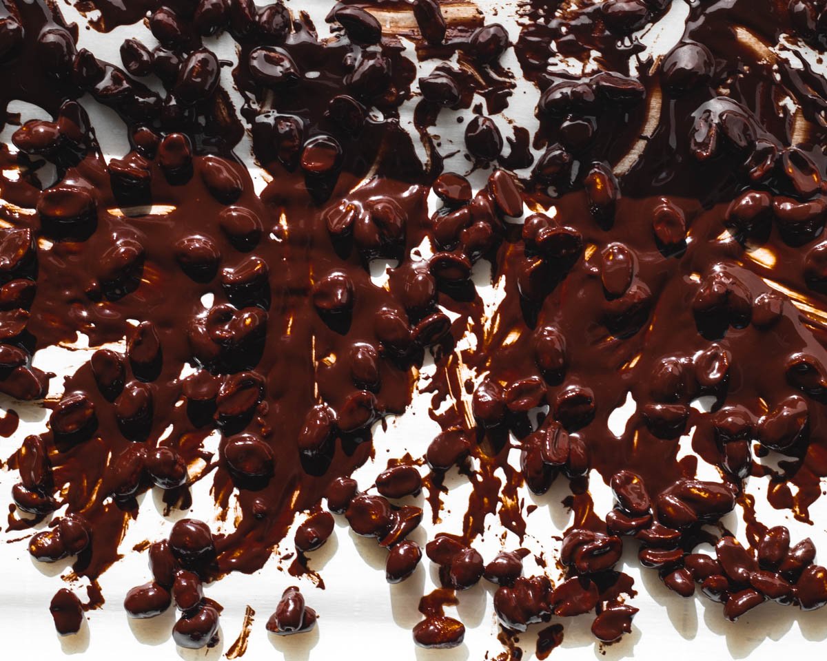Chocolate covered peanuts cooling on parchment paper.