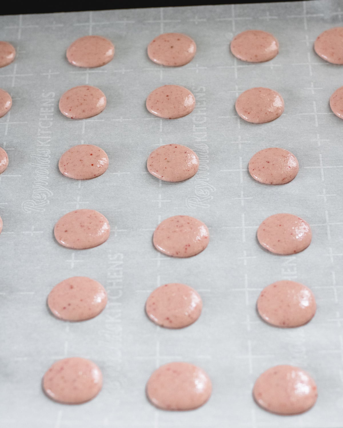 Rows of macaron batter piped in circles onto parchment paper.