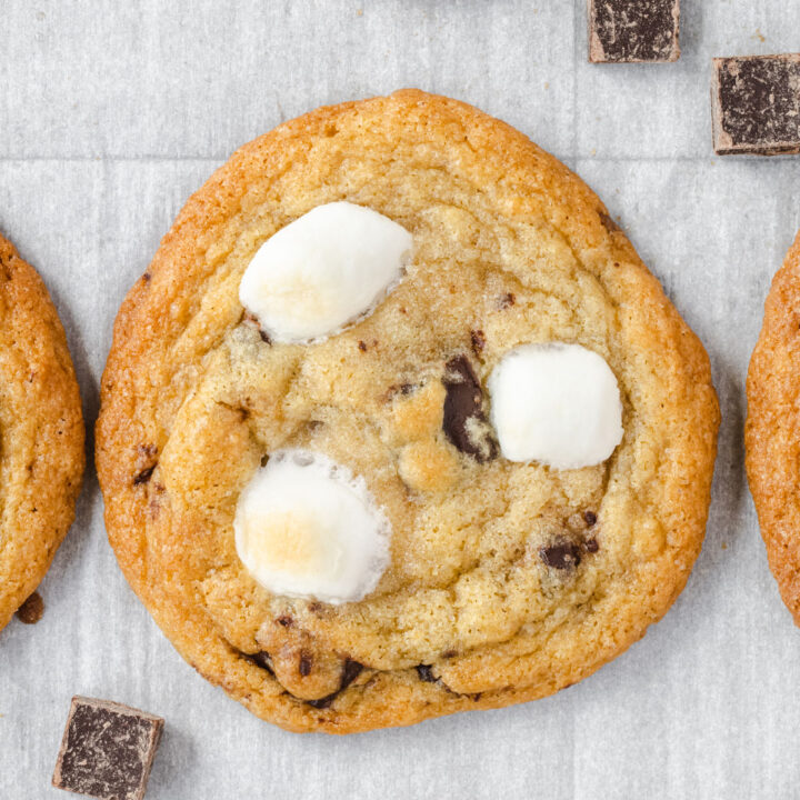 Chocolate chip cookie with toasted marshmallows in it.