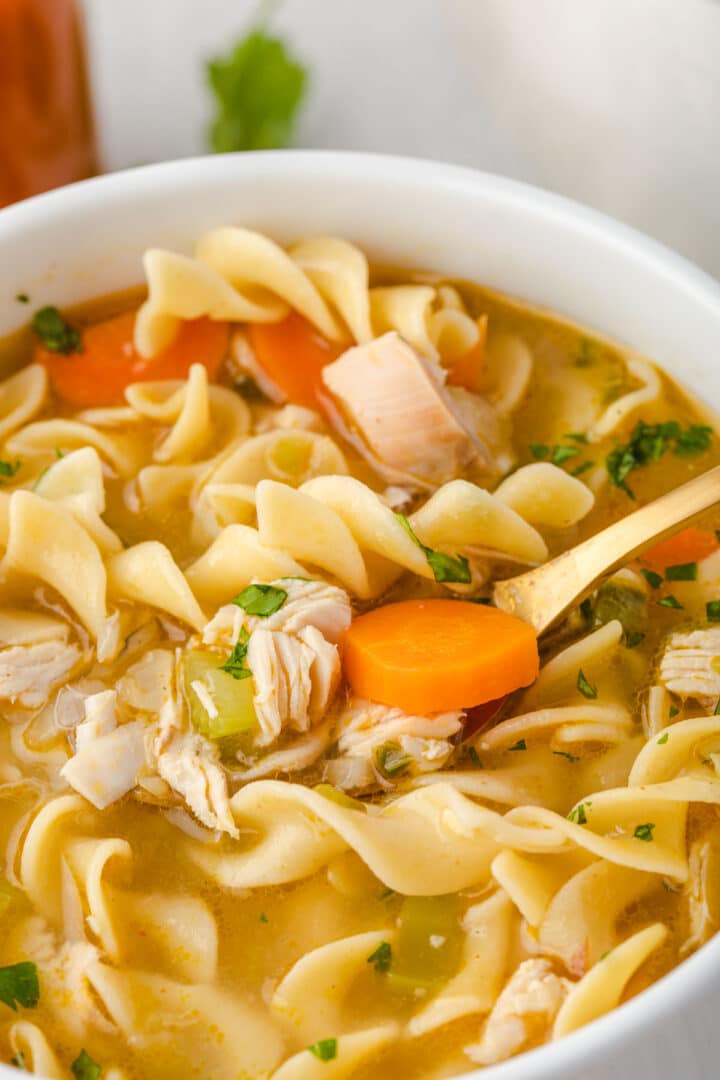 30Minute Spicy Chicken Noodle Soup State of Dinner