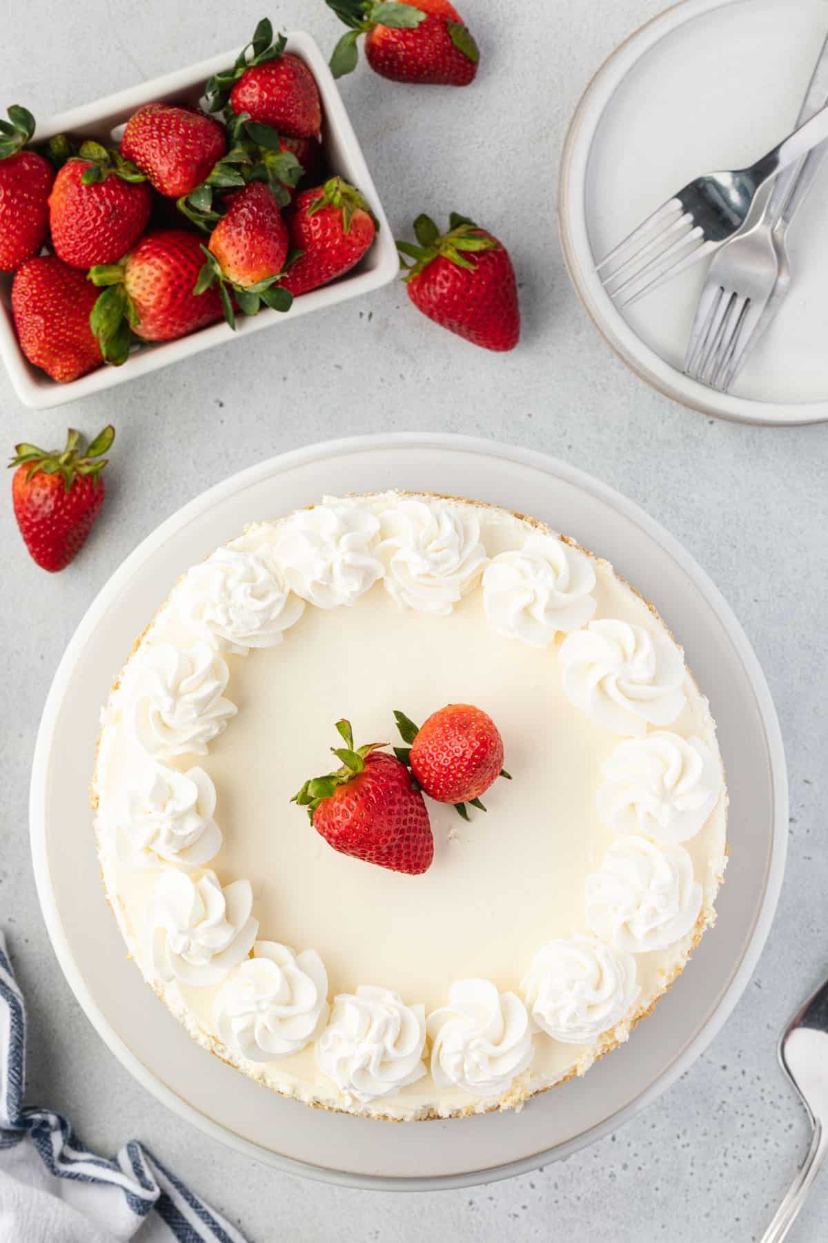 Overhead of the vanilla cheesecake with piped whipped cream and strawberries on top, and strawberries scattered around the cheesecake.