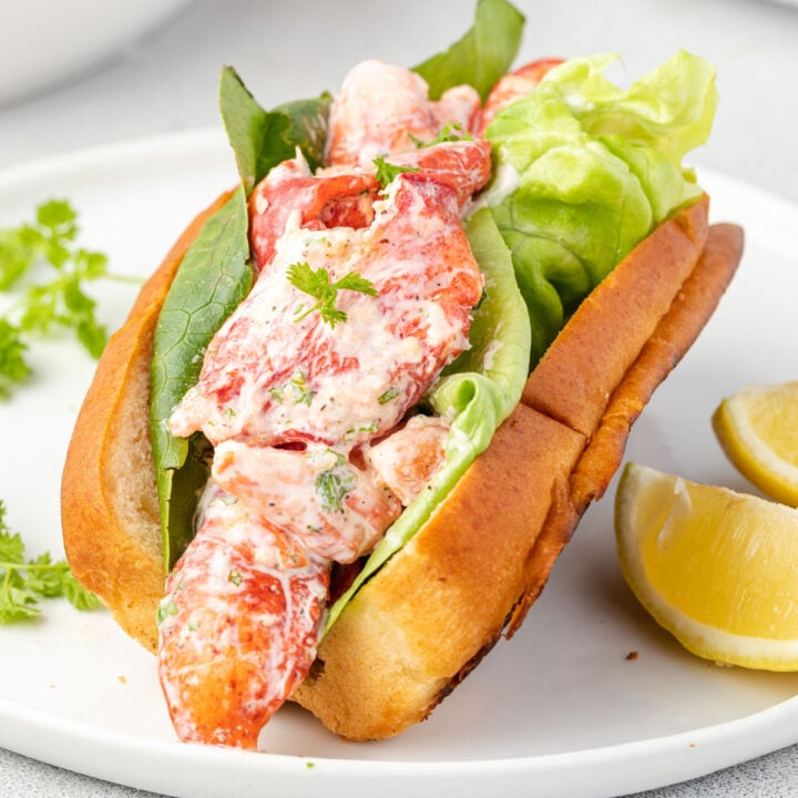 CLose up of a fresh lobster roll on a white plate.