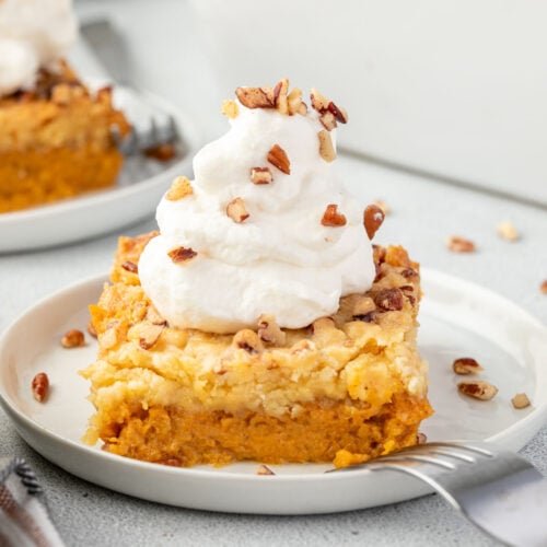 https://stateofdinner.com/wp-content/uploads/2023/08/sweet-potato-dump-cake-500x500.jpg