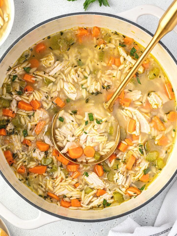 A dutch oven of soup showing chunks of carrots, shredded turkey, and orzo pasta.