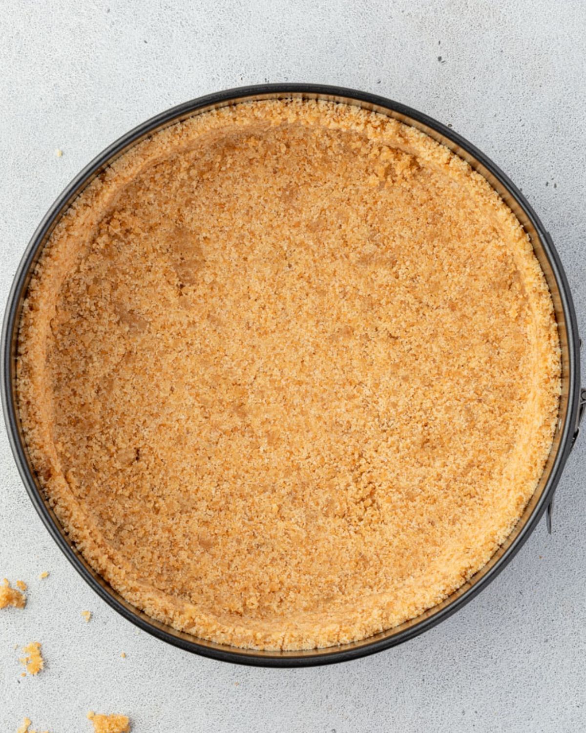 Cheesecake crust with cookie crumbs scattered.