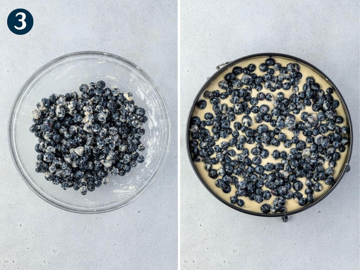 Step 3: On the left is a glass bowl filled with blueberries mixed with flour. On the right is a round cake pan with a batter topped with a layer of the floured blueberries.