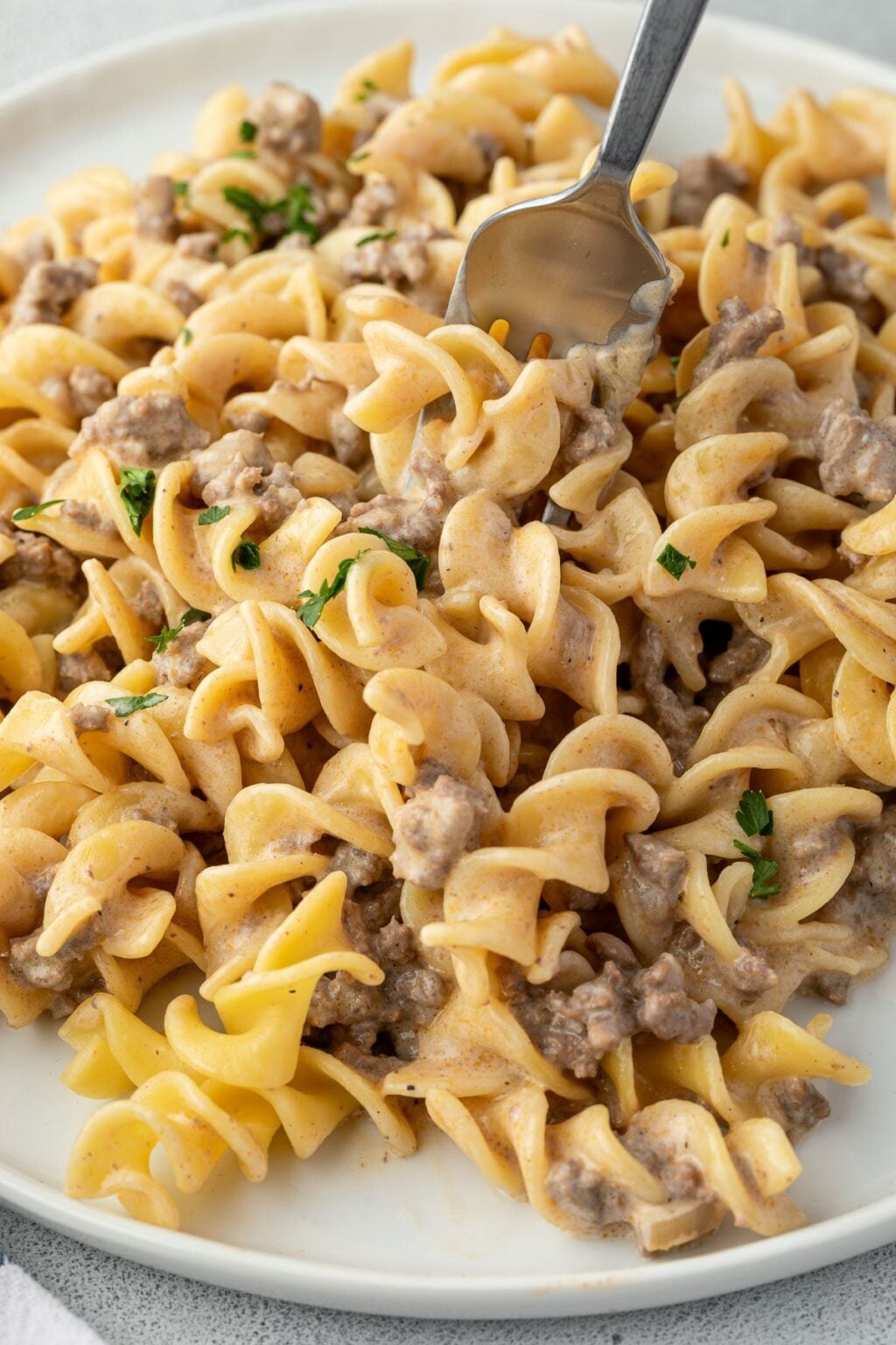 30 Minute Creamy Egg Noodles with Ground Beef