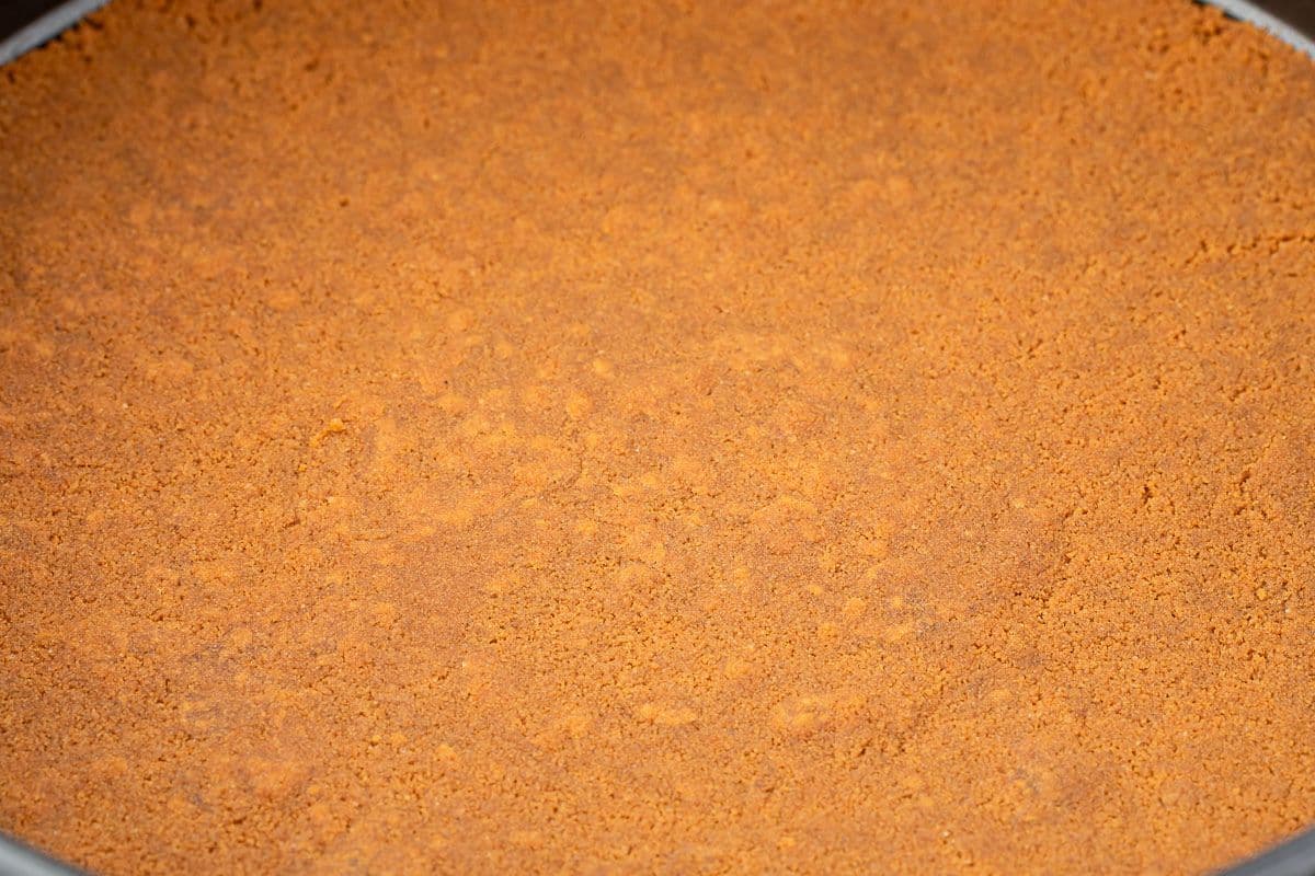 Close-up of an even layer of crushed biscoff cookies pressed into a round pan.