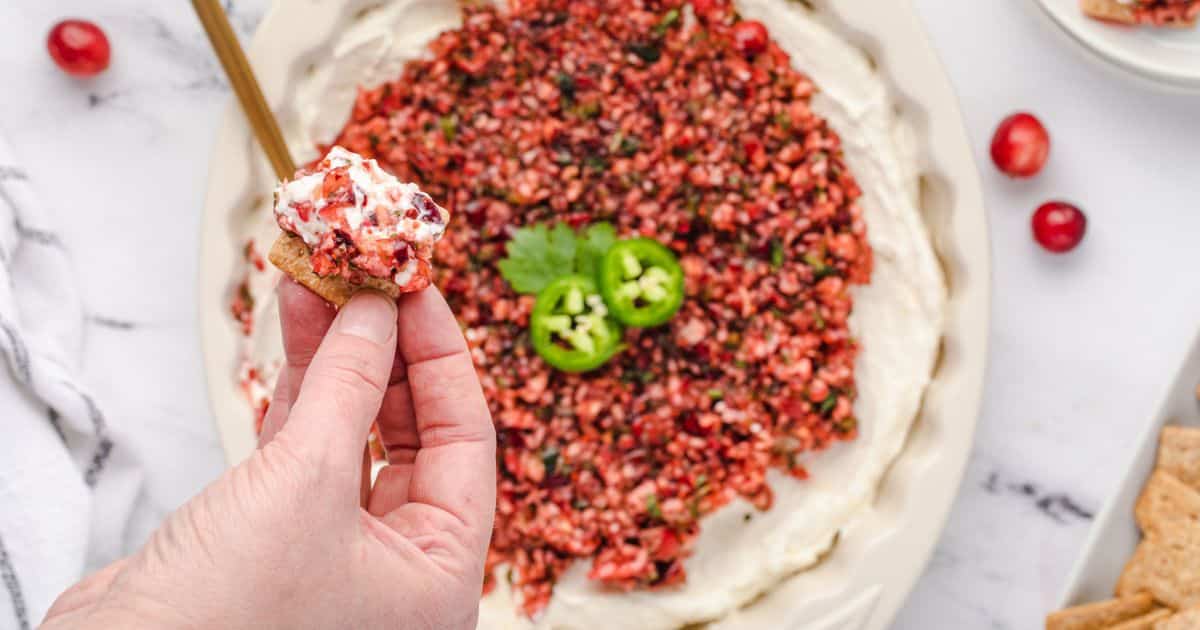 Hand holding cracker with creamy dip topped with chopped cranberries and jalapeno slices on a plate.