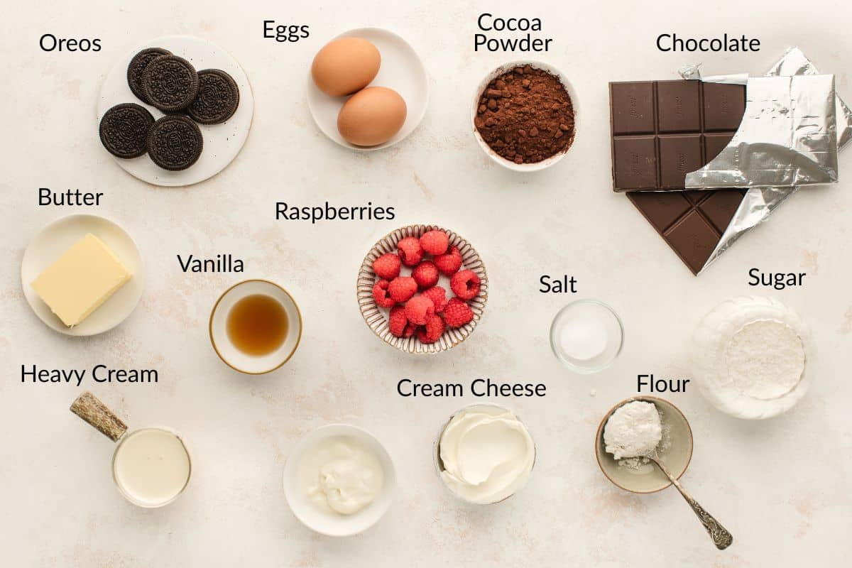 Ingredients for baking, including Oreos, eggs, cocoa powder, chocolate, butter, raspberries, and more, labeled.