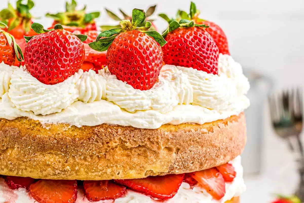 A close-up of a layered strawberry shortcake with whipped cream and fresh strawberries on top.