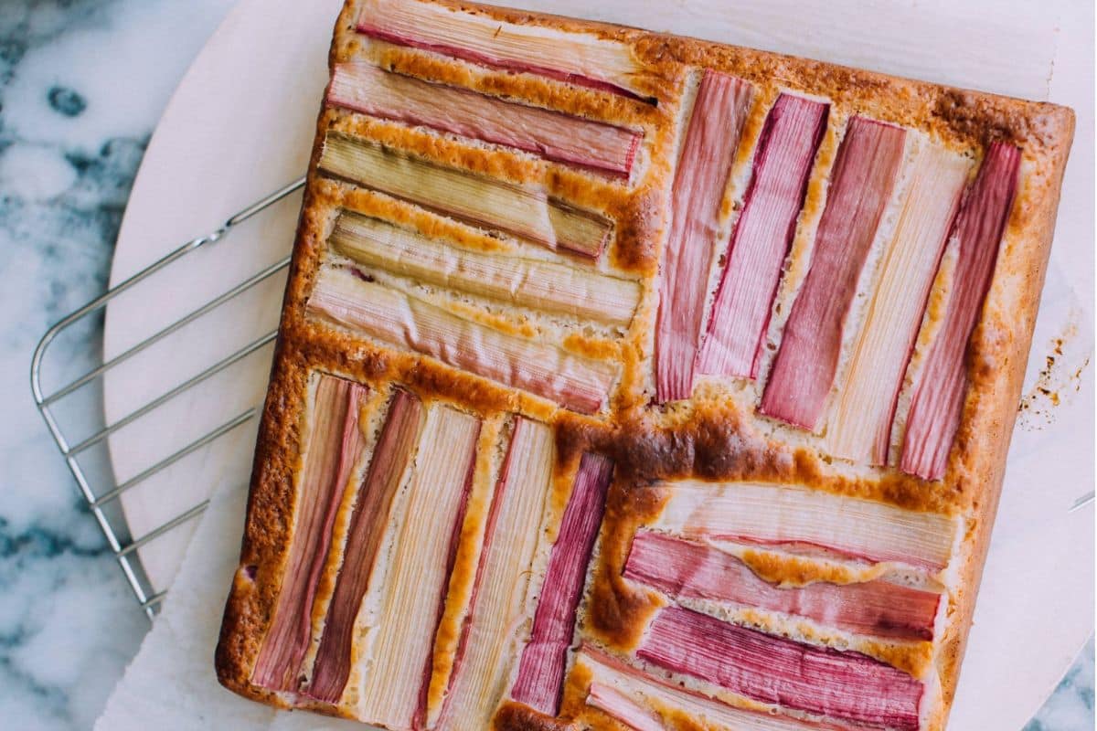 A square rhubarb cake with pink and green stalks on top, cooling on a wire rack.
