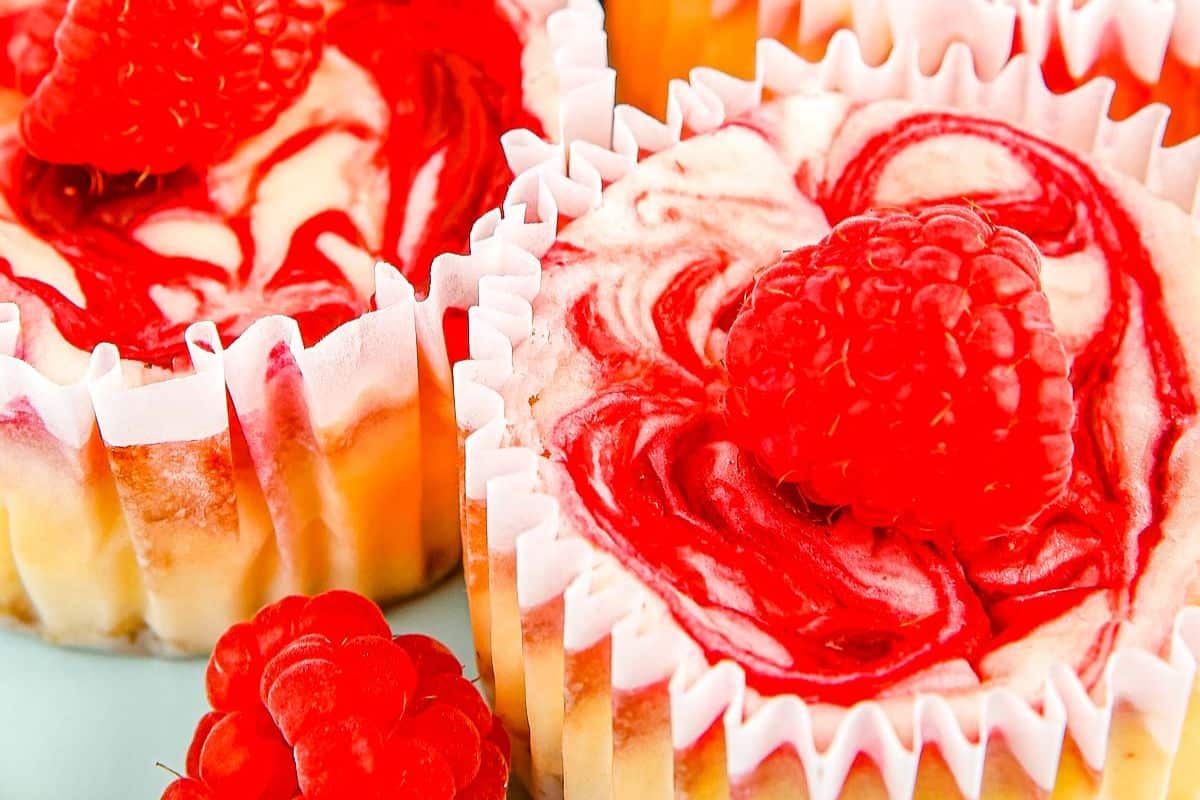 Mini cheesecakes with raspberry swirls, each topped with a fresh raspberry, in white cupcake liners.