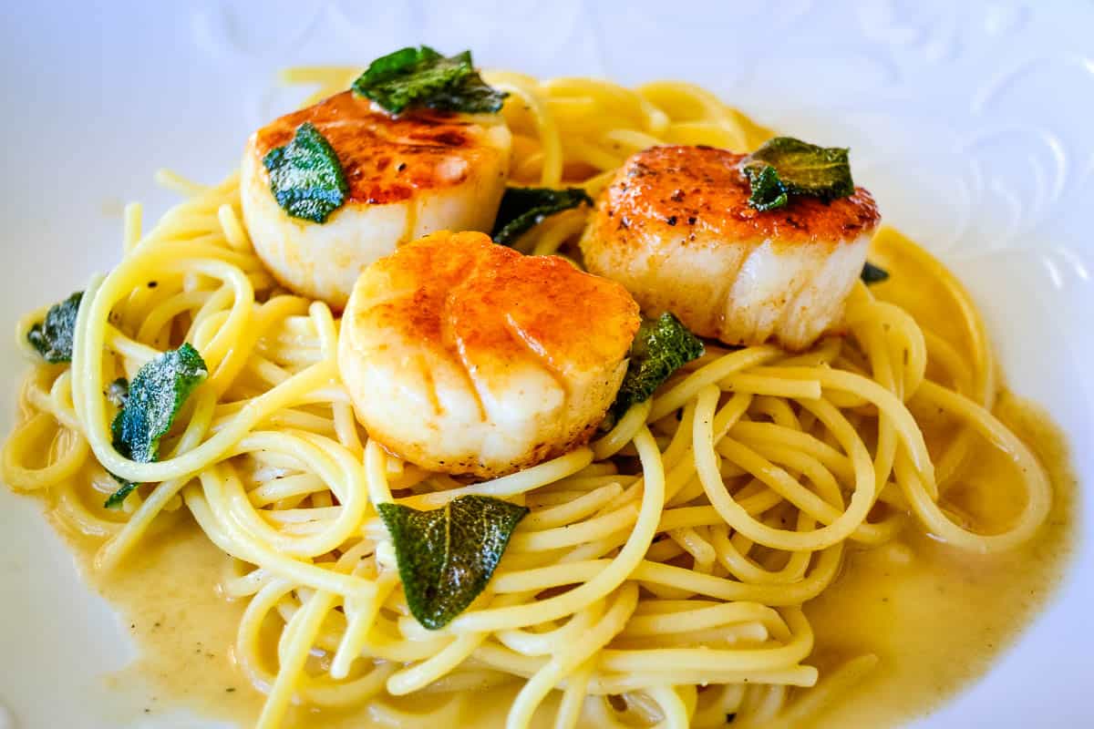 Seared scallops on a bed of spaghetti with sauce and garnished with crispy sage leaves.