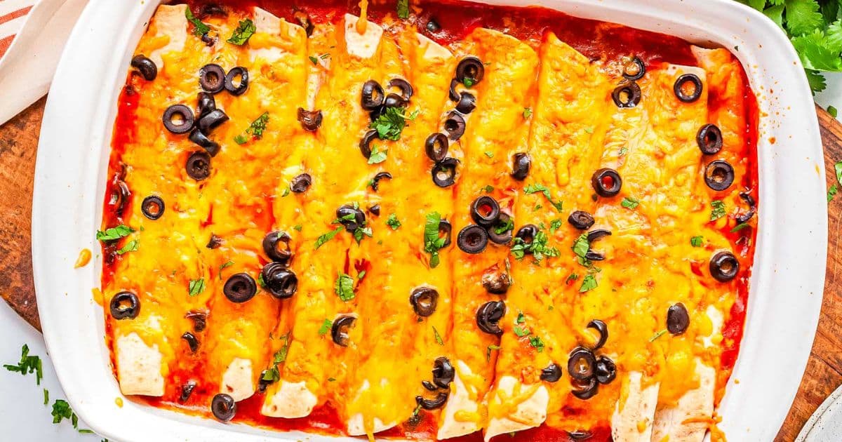 Cheesy enchiladas topped with sliced black olives and cilantro in a white baking dish filled with red sauce.