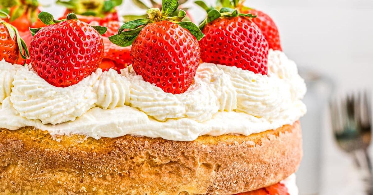 Close-up of a cake topped with whipped cream and fresh strawberries.