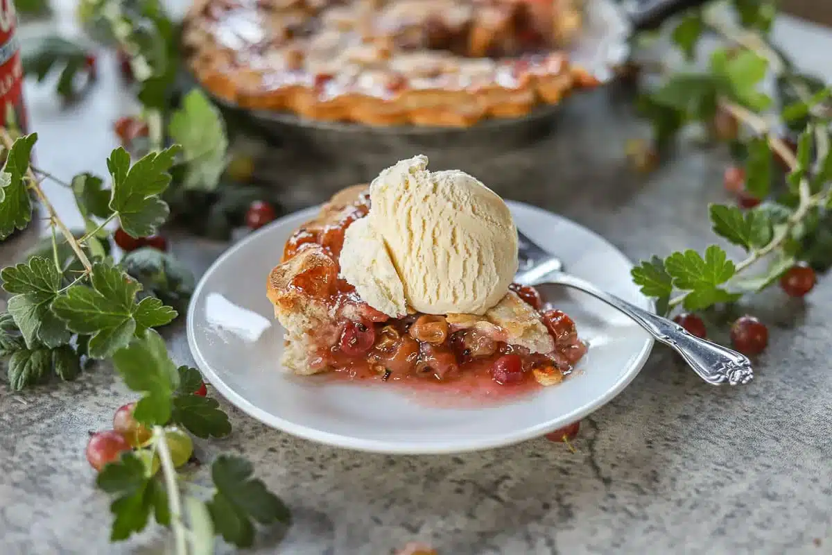 A slice of berry pie topped with vanilla ice cream on a white plate, surrounded by fresh berries and leaves.