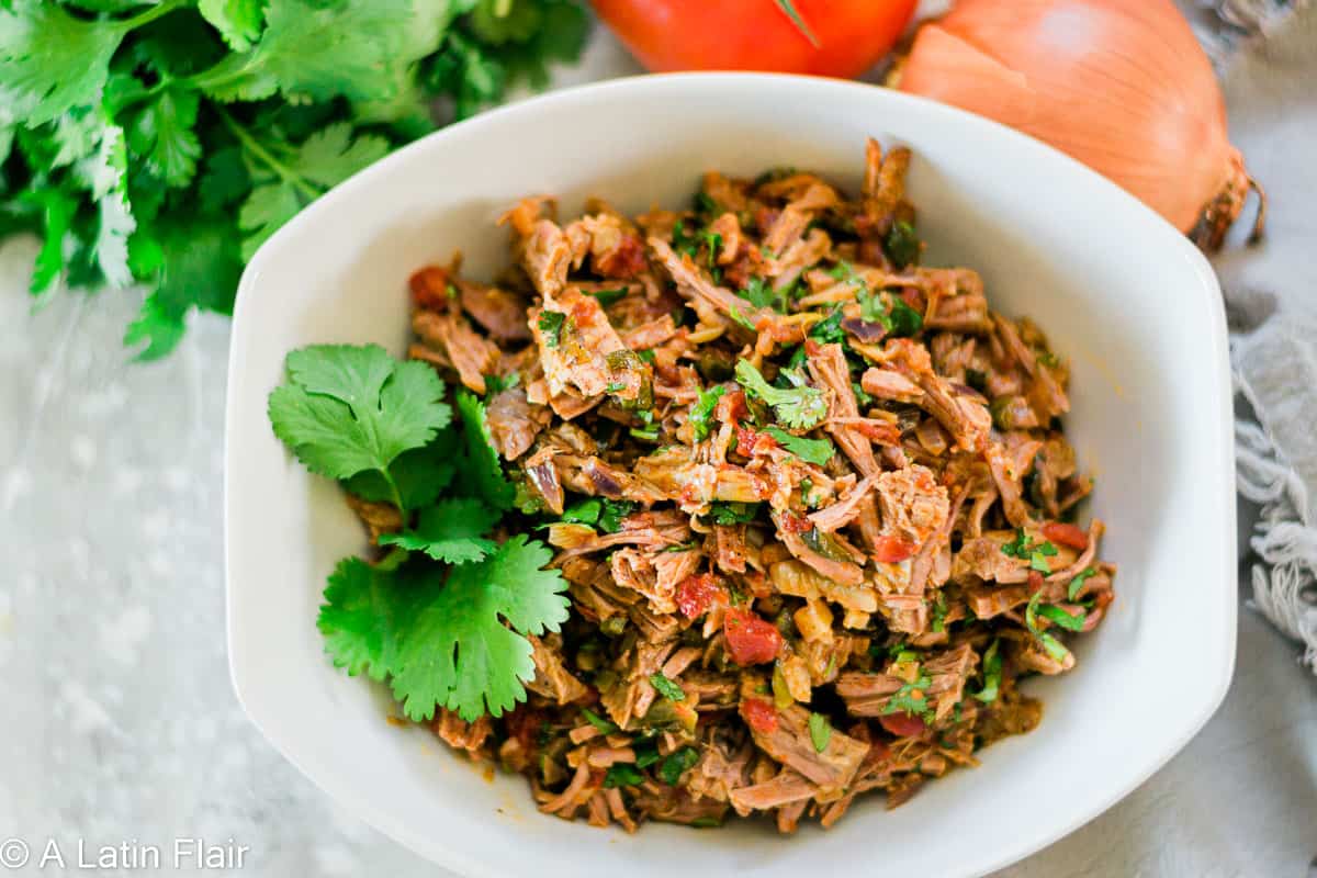 Shredded beef mixed with tomatoes, onions, and cilantro served in a white bowl, garnished with cilantro.
