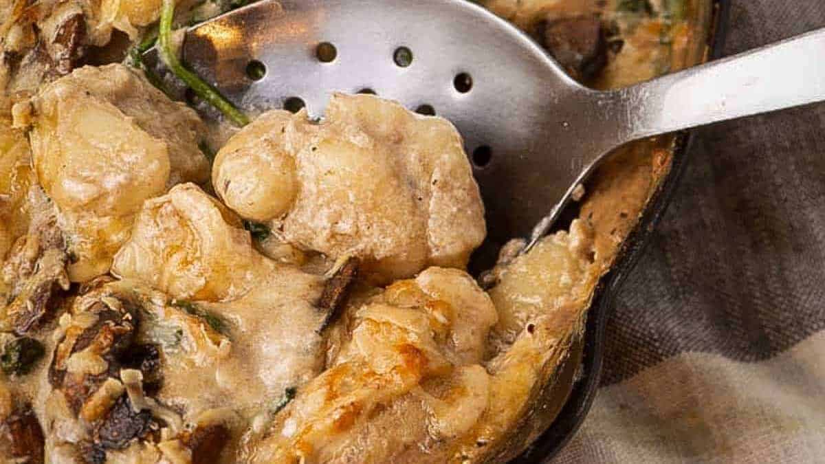 A close up shot of chicken gnocchi.