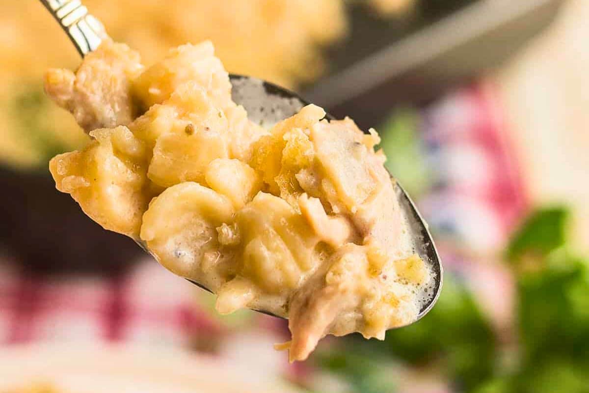 A close up shot of chicken noodle casserole.