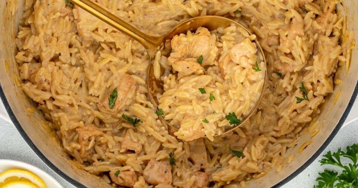 A close up shot of lemon chicken orzo.