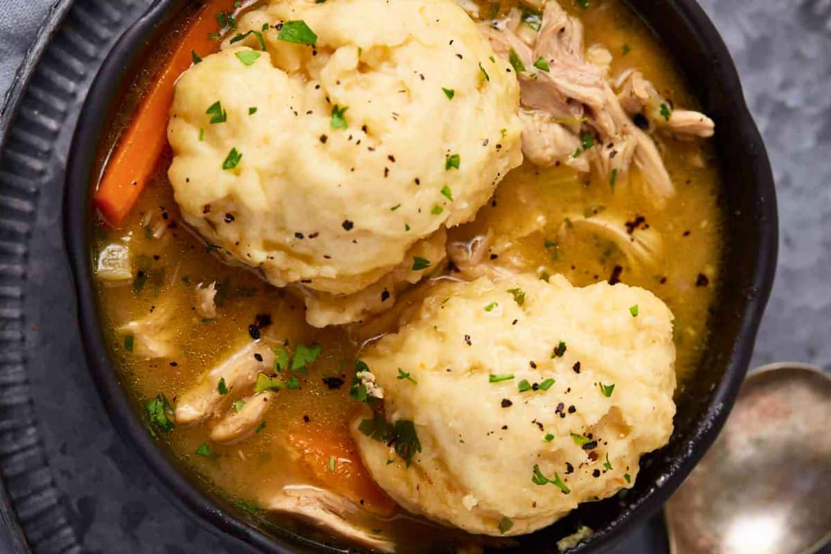 A close up shot of chicken and dumplings.