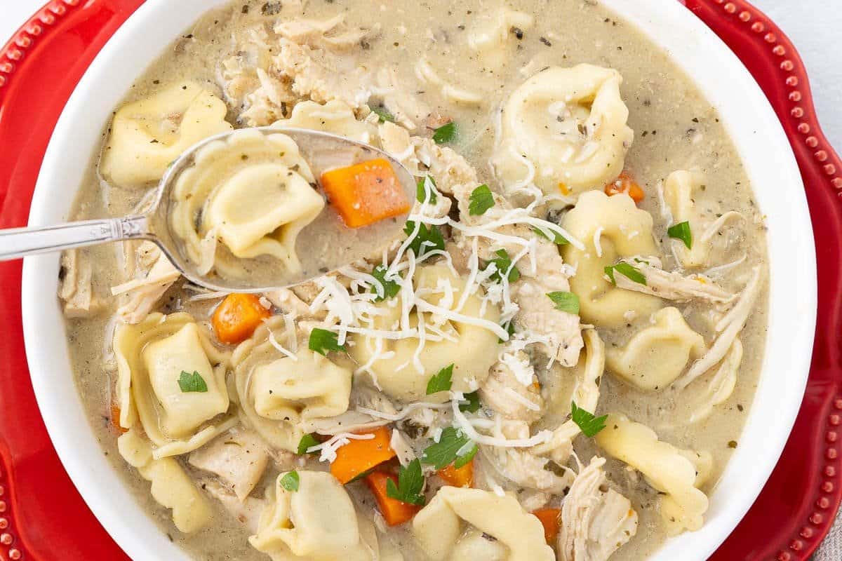 A close up shot of chicken tortellini.
