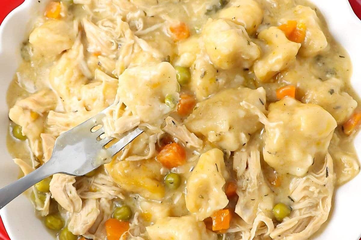 A close up shot of chicken dumplings.