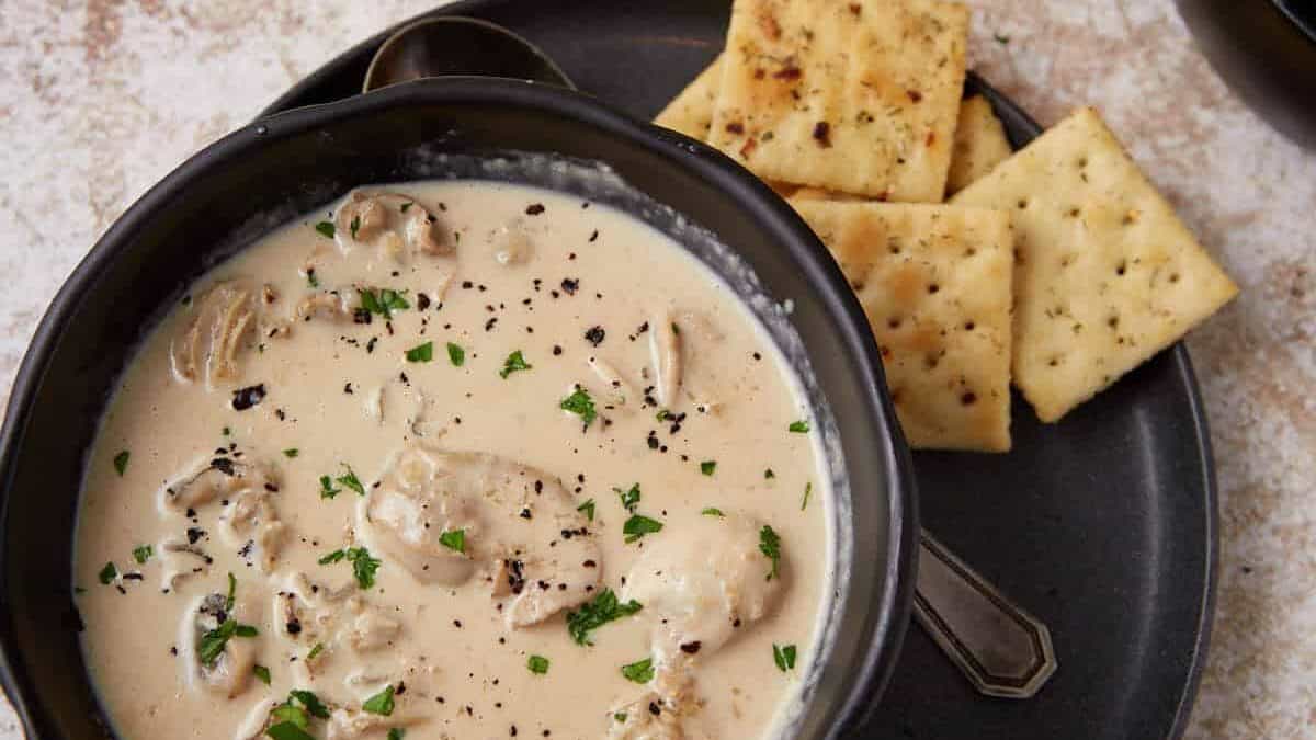 A close up shot of oyster stew.