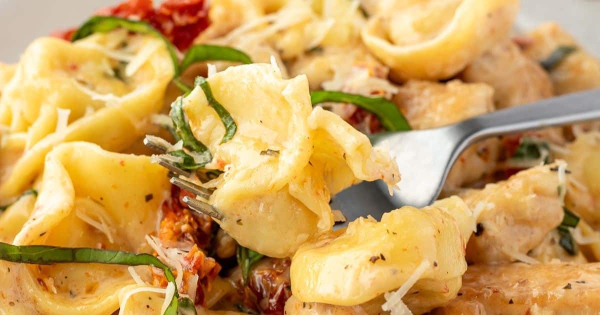 A close up shot of chicken tortellini.